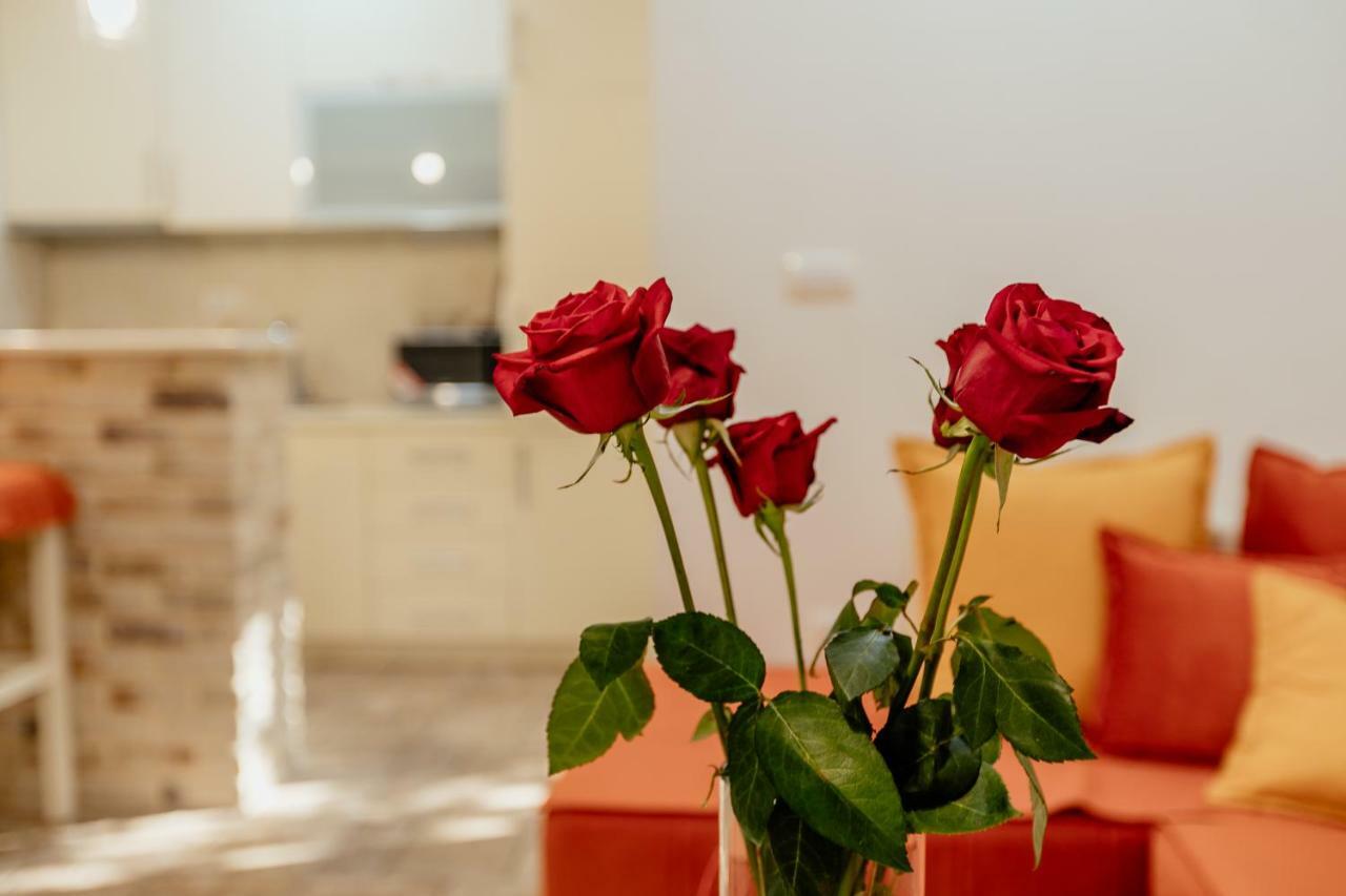 Bobana Apartments Donji Morinj Luaran gambar